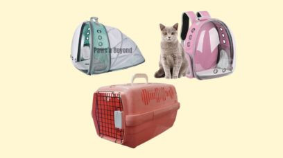 Pet Carrier