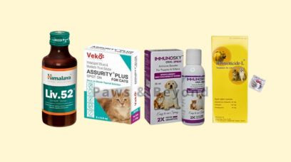 Pet Medicine