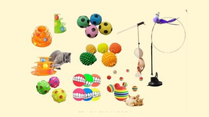 Pet Toys