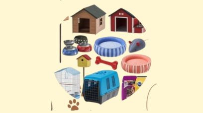 Pet Accessories