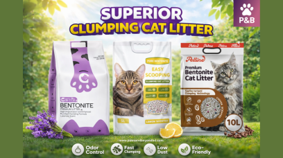 Cat Litter