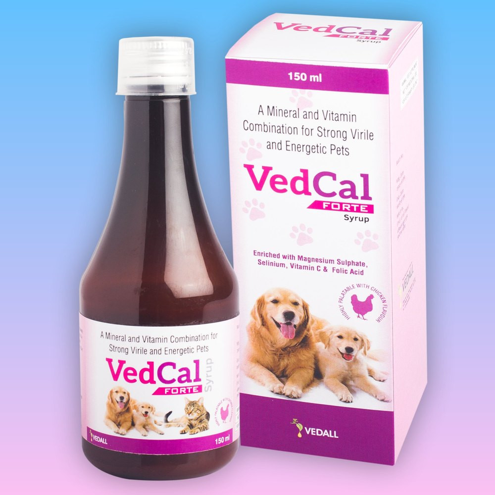 VedCal Forte Syrup – 150ml