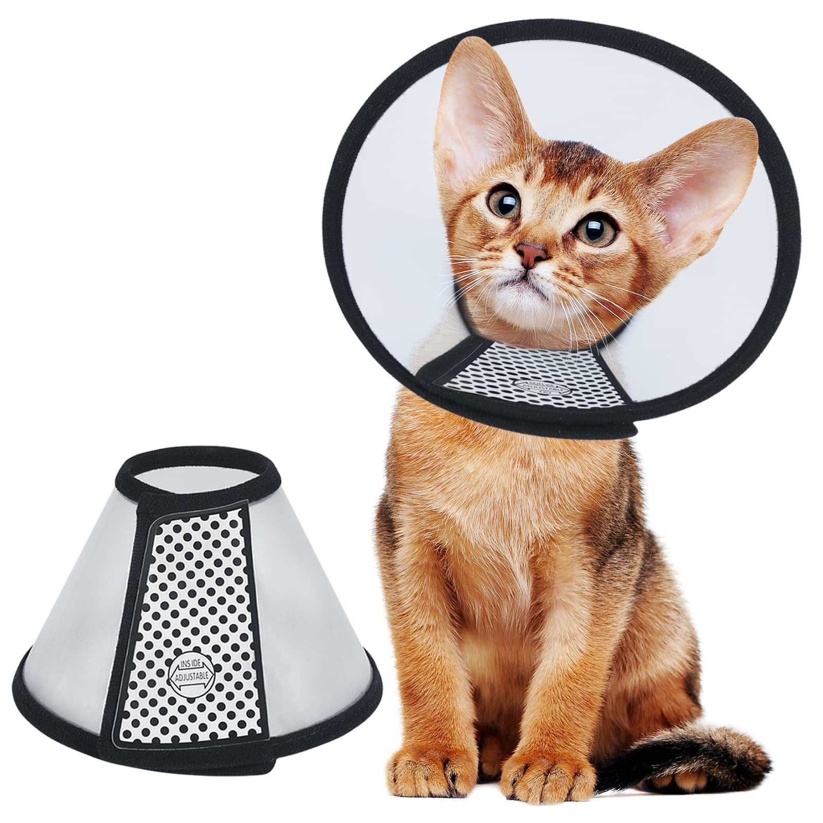 E-collar Cat