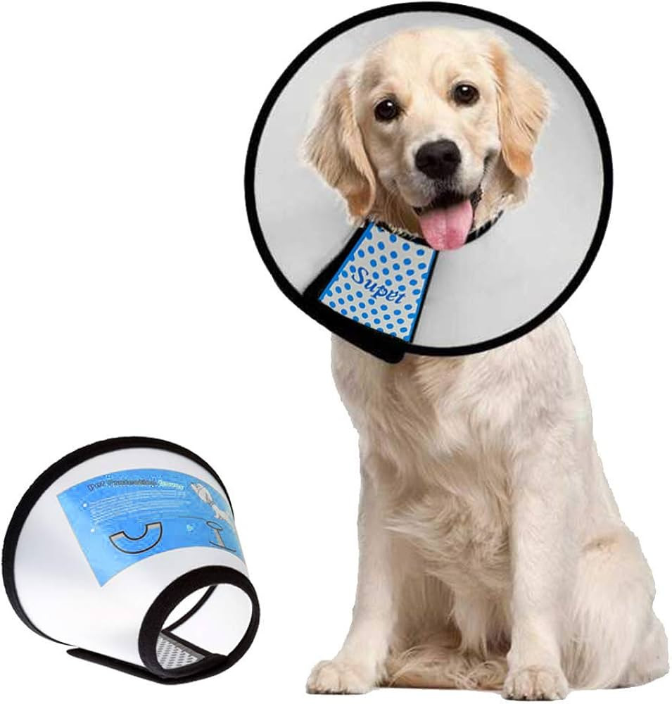 E-collar Dog