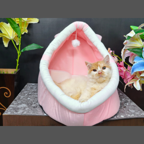 Pet House Small (china)