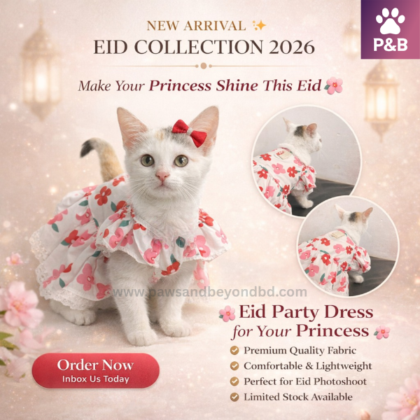 Eid Party Dress