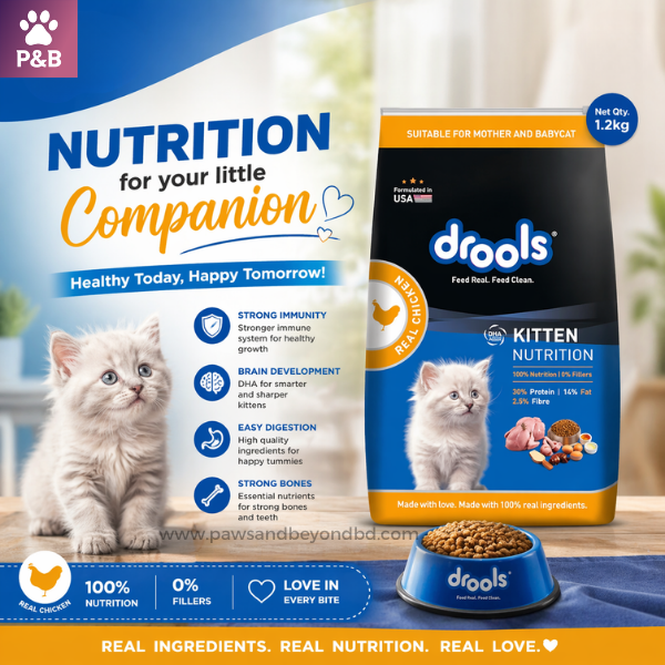 Drools Kitten Nutrition – Cat Food (1.2kg)
