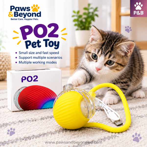 PO2 Pet Toy